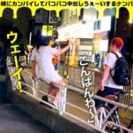 ドスケベ淫乱M天使降臨! ハロウィンに集ったエロいオンナ!中出し&口内射精3発! SUPER NANPA BROS in渋谷 feat自称淫乱天使a.k.a.エロ肉オナホ